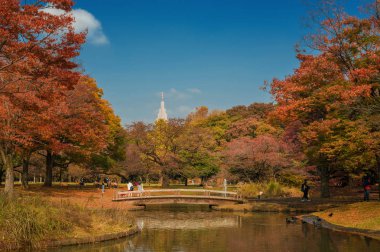Tokyo, Japonya, 15 Kasım 2017 - sonbahar ve yeşillik Yoyogi Park