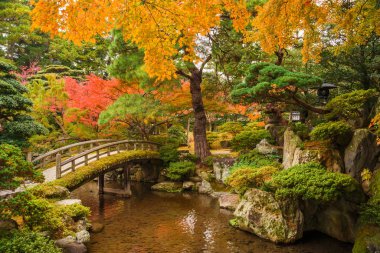 Kyoto, Japonya, 22 Kasım 2017 - sonbahar görünümü Kyoto İmparatorluk Sarayı Bahçeleri
