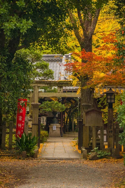 Kyoto Japon Novembre 2017 Vue Automne Entrée Sanctuaire Shirakumo Dans — Photo
