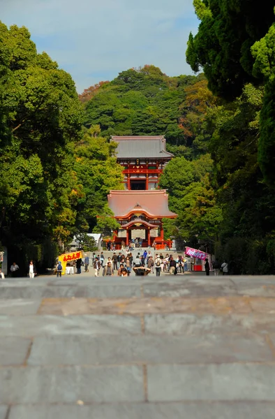 Kamakura Japon Novembre 2007 Sanctuaire Tsurugaoka Hachimangu Kamakura Partir Vieux — Photo