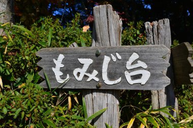 Tokyo, Japonya, 7 Kasım 2017 - Mount Takao üstündeki ünlü Momijidai (sonbahar yaprak ile ilgilenen Spot) işareti