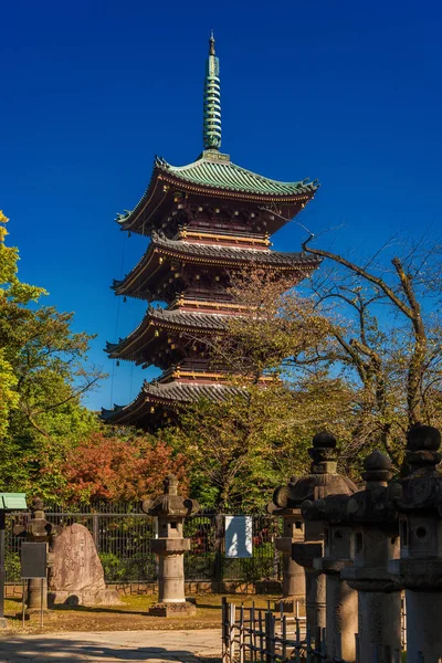 Tokio Japón Octubre 2017 Cinco Pagoda Kanei Ubicada Dentro Del — Foto de Stock