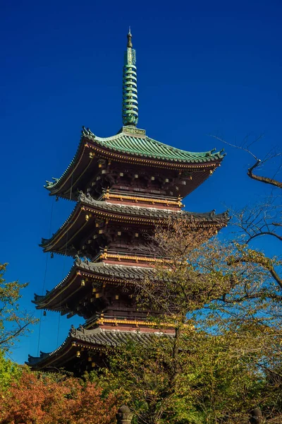 Tokyo Japon Octobre 2017 Cinq Pagodes Kanei Situées Intérieur Parc — Photo