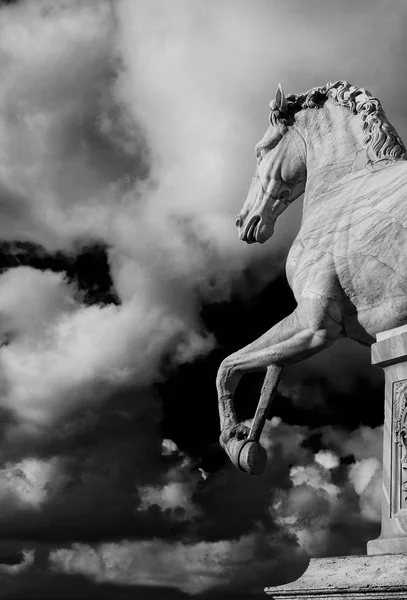 Estátua Mármore Romano Antigo Cavalo Topo Capitólio Roma Datada Século — Fotografia de Stock