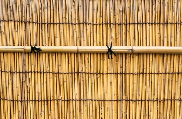 Bamboo wall background — Stock Photo, Image