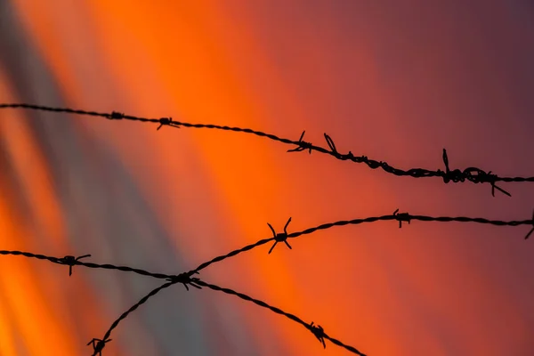 Gün batımı arka planda dikenli tel — Stok fotoğraf