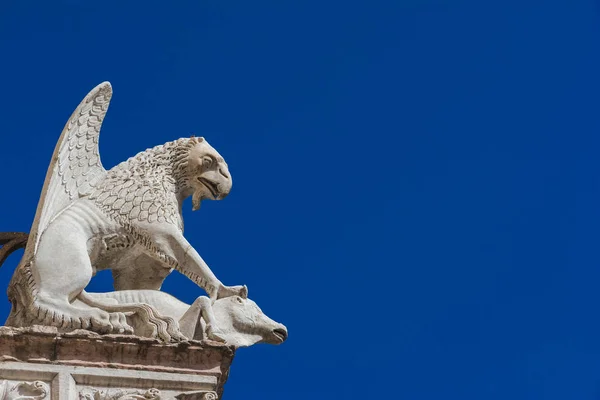 Sup bělohlavý symbolem Perugia — Stock fotografie