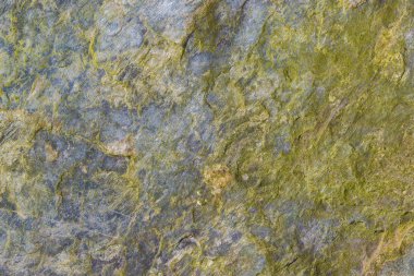 Liken arka planlı kaya yüzeyi