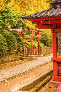 Nezu Tapınağı sonbahar görünümü