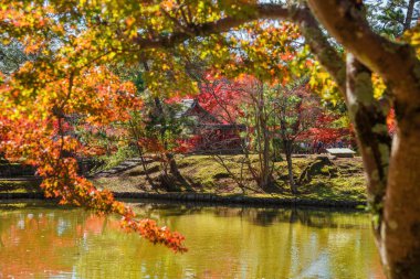 Nara Kagamiike sonbahar görünümü