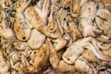 Arkaplan olarak balık pazarında mürekkep satılan yaygın ya da Avrupalı mürekkep balığı