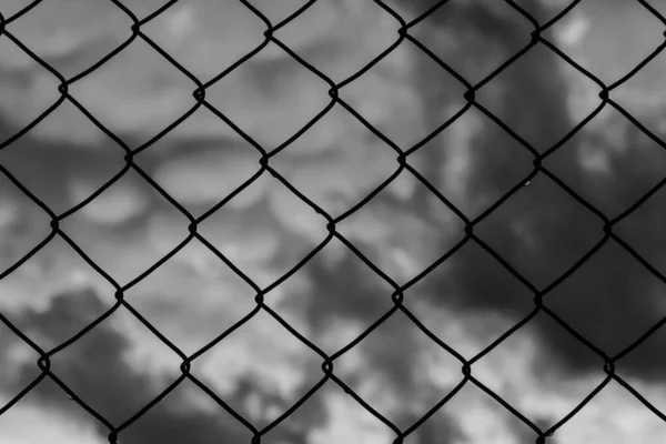 Grid Blurred Sky Background Black White — Stock Photo, Image