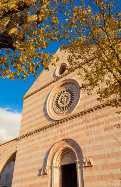 Assisi 'de sonbahar. Sonbahar yapraklı Ortaçağ Gotik Kilisesi