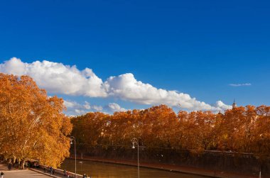 Roma 'da sonbahar ve yapraklar. Şehrin tarihi merkezinde Tiber Nehri boyunca güzel sonbahar yaprakları (yukarıda kopya alanı ile)) 