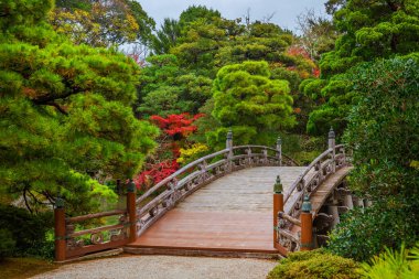 Kyoto, Japonya, 22 Kasım 2017 Japonya 'daki bahçeler. Kızıl akçaağaç yaprakları ve yeşil çam ağaçlarıyla Kyoto İmparatorluk Sarayı ahşap köprüsü