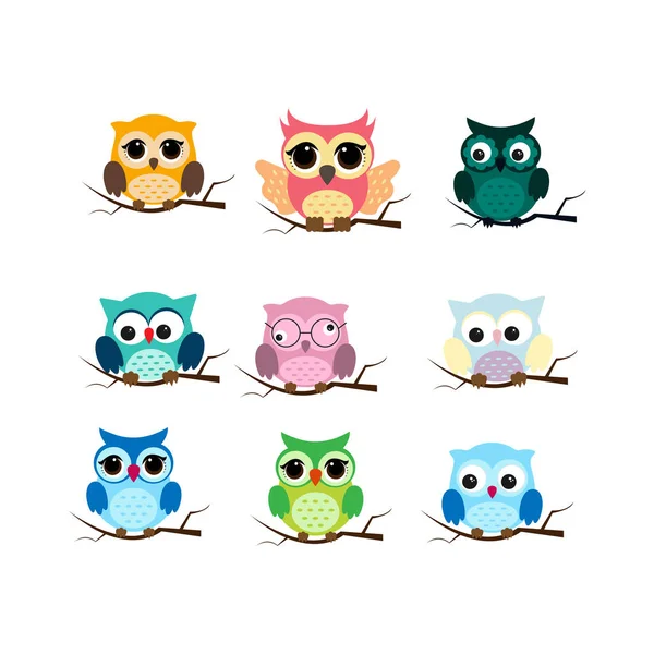 Group of birds. Owls night birds with big eyes. Colorful illustration — Stock Vector