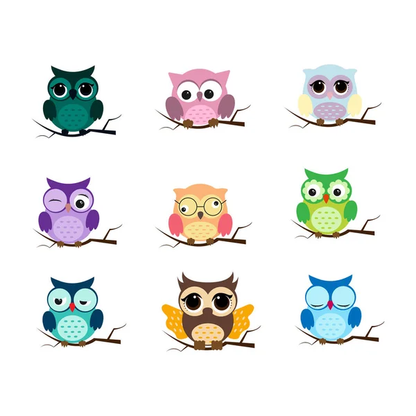 Group of birds. Owls night birds with big eyes. Colorful illustration — Stock Vector