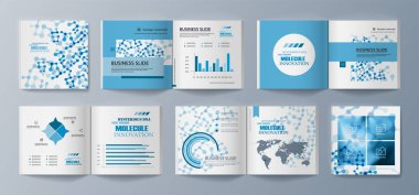 Piyasada promosyon mal ve Hizmetleri pazarlama için broşürler seti