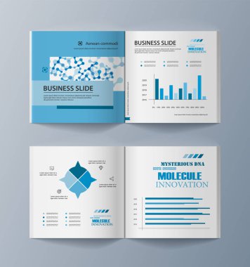 Piyasada promosyon mal ve Hizmetleri pazarlama için broşürler seti