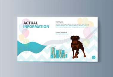 Evcil hayvan sınıflandırma broşürünün sunumu