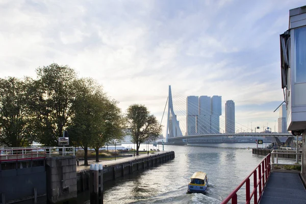 Early Morning Water Taxi Erasmus Bridge Background Rotterdam — Stock Photo, Image