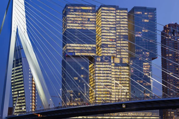 Cityscape Ofisleri Kop Van Zuid Rotterdam Daki Erasmus Köprüsü Yakınında — Stok fotoğraf