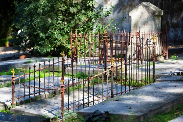 Pietre Tombali Vecchie Recinzioni Arrugginite Cimitero Rotterdam Nei Paesi Bassi — Foto Stock