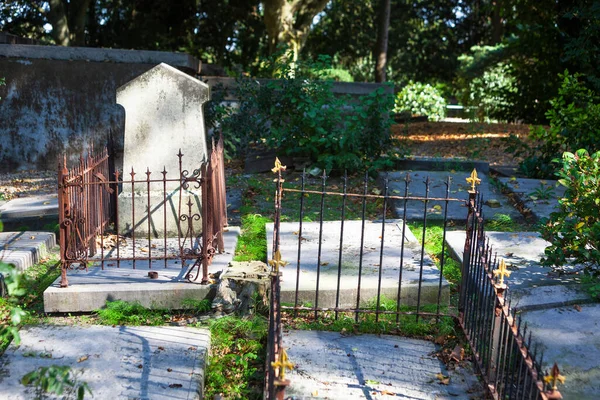 Tumbas Viejas Vallas Oxidadas Cementerio Rotterdam Los Países Bajos — Foto de Stock