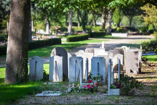Lápidas Con Flores Cementerio Rotterdam Los Países Bajos — Foto de Stock