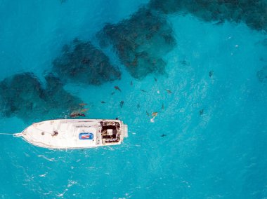 Köpekbalıkları, Bahamalar bir dron görünüm resmi gösterir