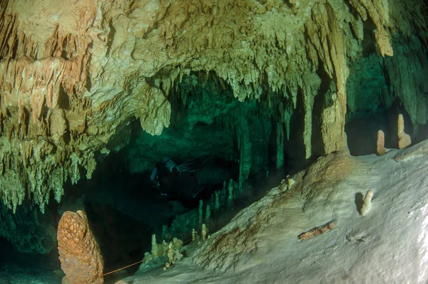 Nurkowanie Cenote Gry Dreamgate Meksyk — Zdjęcie stockowe