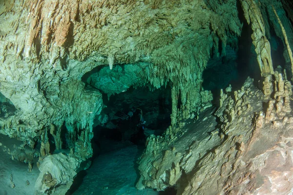 Scuba diving hipotermik Dreamgate, Meksika
