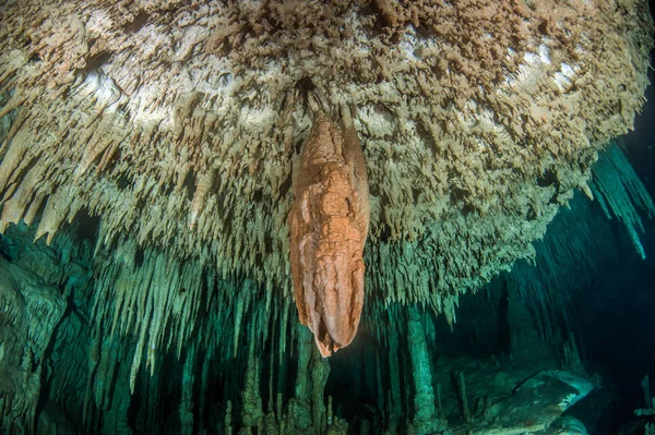 Nurkowanie Cenote Gry Dreamgate Meksyk — Zdjęcie stockowe