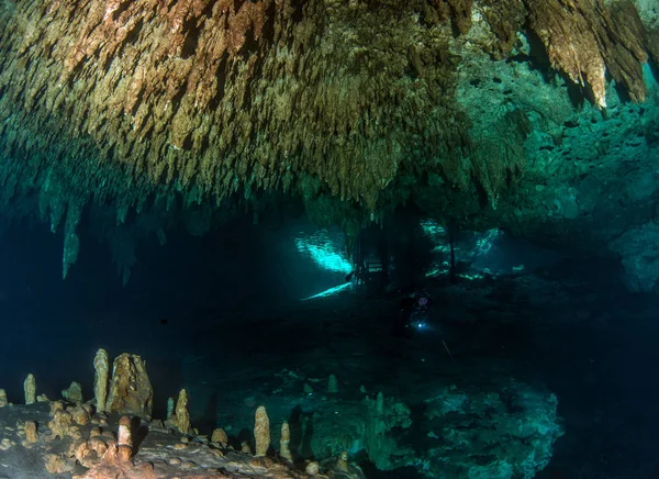 Tauchen Cenote Dreamgate Mexiko — Stockfoto