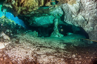 Scuba diving, hipotermik Nicte Ha Meksika