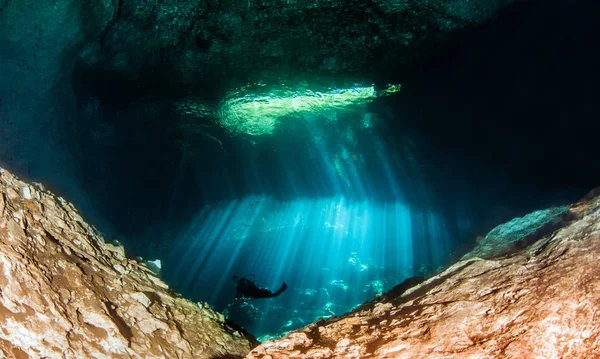 Scuba Diving Cenote Jardin Del Eden Mexico — Stock Photo, Image