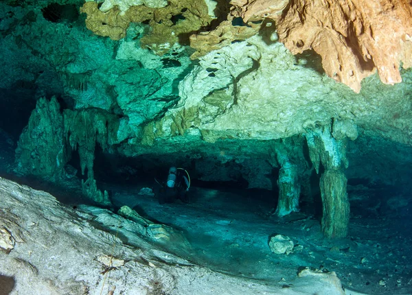 Scuba Diving Cenote Nicte Mexico — Stock Photo, Image