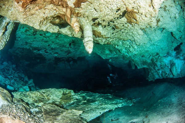 Scuba Diving Hipotermik Nicte Meksika — Stok fotoğraf