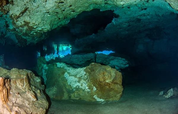 Nurkowanie Cenote Nicte Meksyku — Zdjęcie stockowe