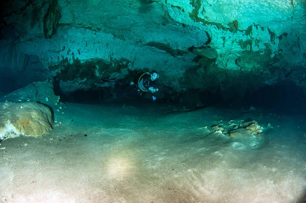 Tauchen Cenote Nicte Mexiko — Stockfoto