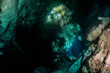 Scuba diving hipotermik Tajma Ha Meksika