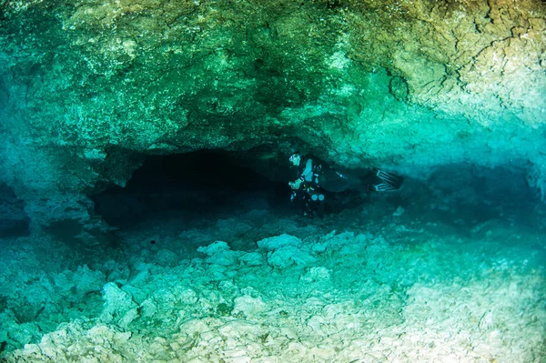 Tauchen Cenote Tajma Mexiko — Stockfoto