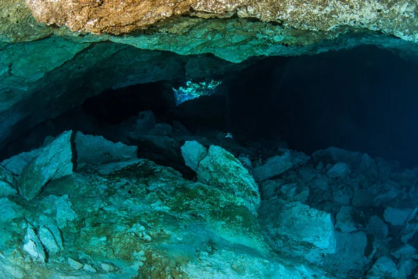 Scuba Diving Cenote Tajma Mexico — Stock Photo, Image