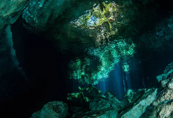 Scuba Diving Cenote Tajma Mexico — Stock Photo, Image
