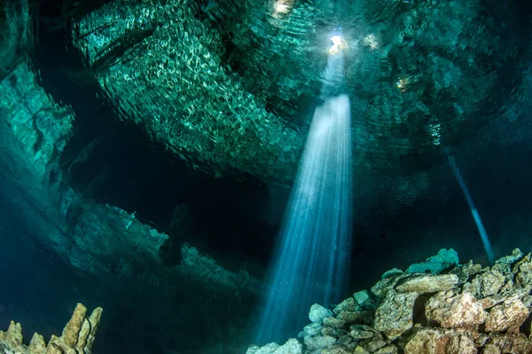 Dykning Den Cenote Tajma Mexiko — Stockfoto