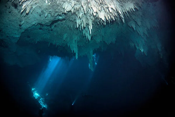 Scuba diving in the Cenote The Pit in Mexico