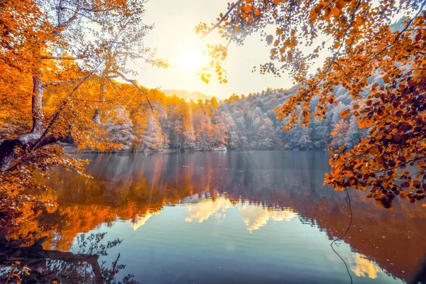 Yedigoller National Park Vista Para Outono Bolu Turquia — Fotografia de Stock