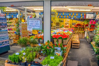 Amsterdam, Hollanda, 15 Ağustos 2014: Lale Lale çiçek Satılık Hollanda, Amsterdam, Hollanda Amsterdam çiçek pazarında 