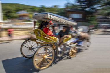 Buyukada ada sokak görünümü. Koç ve atlara Buyukada, Prens Adaları Istanbul bölgesinde