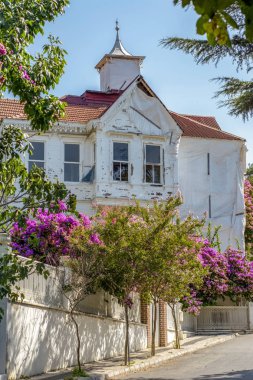 Istanbul, Türkiye, 20 Ağustos 2018: Buyukada ada sokak görünümü. Koç ve atlara Buyukada, Prens Adaları Istanbul bölgesinde